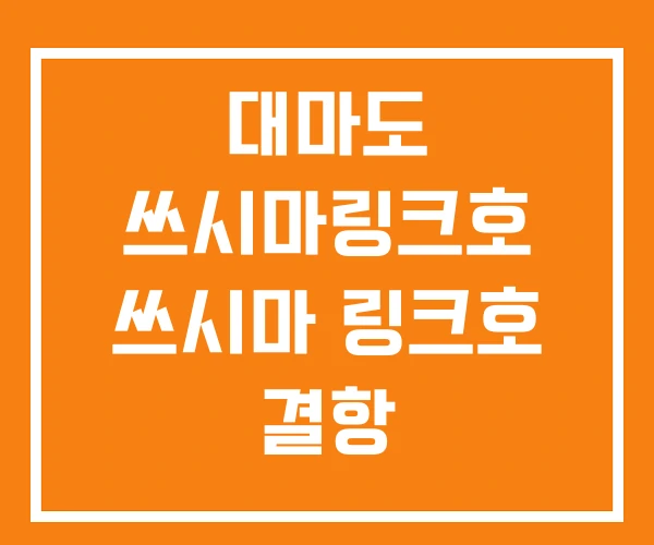 대마도 쓰시마링크호 쓰시마 링크호 결항 대마도 쓰시마링크호 쓰시마 링크호 결항