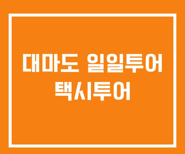 대마도 일일투어 택시투어