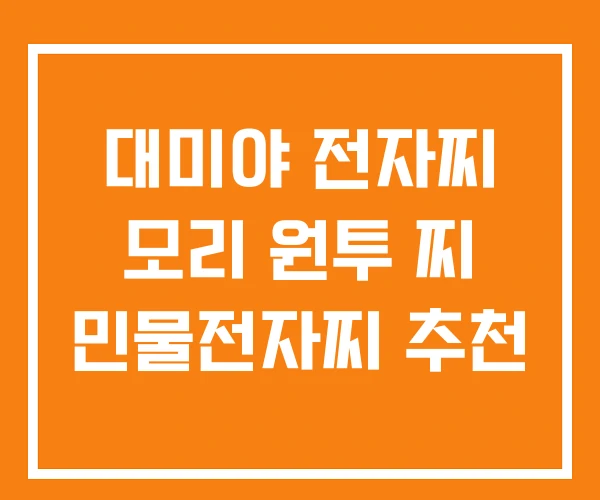 대미야 전자찌 모리 원투 찌 민물전자찌 추천