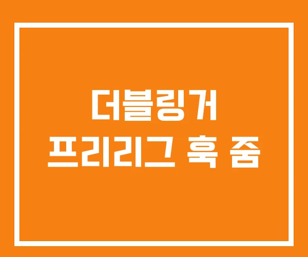 더블링거 프리리그 훅 줌