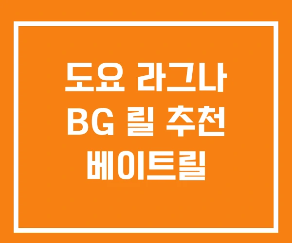 도요 라그나 BG 릴 추천 베이트릴 도요 라그나 BG 릴 추천 베이트릴