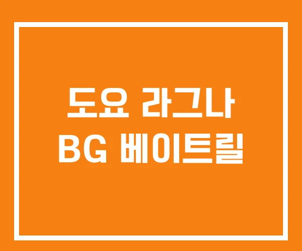 도요 라그나 BG 베이트릴 도요 라그나 BG 베이트릴