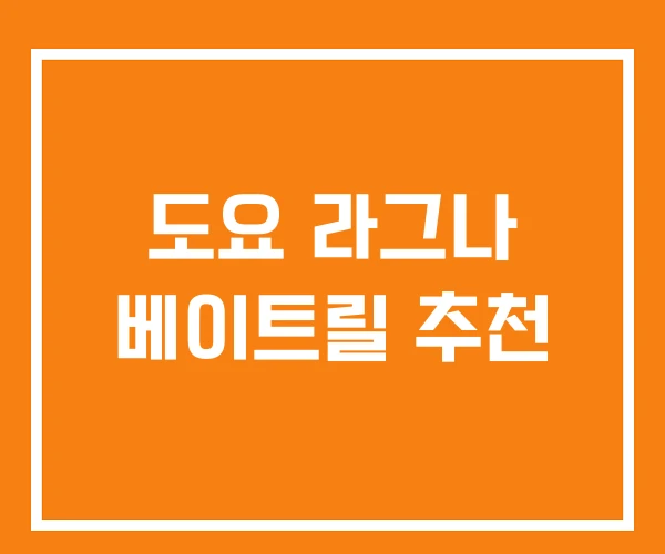 도요 라그나 베이트릴 추천 도요 라그나 베이트릴 추천