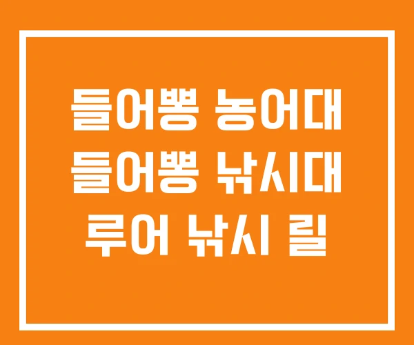 들어뽕 농어대 들어뽕 낚시대 루어 낚시 릴 들어뽕 농어대 들어뽕 낚시대 루어 낚시 릴