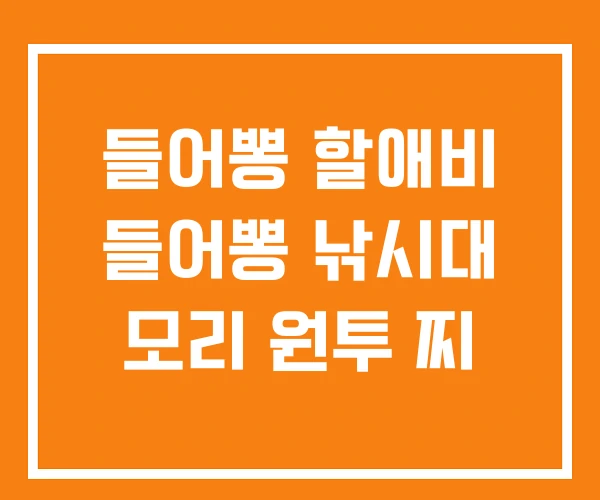 들어뽕 할애비 들어뽕 낚시대 모리 원투 찌 들어뽕 할애비 들어뽕 낚시대 모리 원투 찌