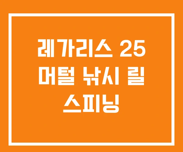 레가리스 25 머털 낚시 릴 스피닝