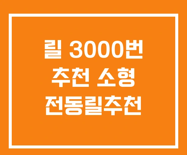 릴 3000번 추천 소형 전동릴추천 릴 3000번 추천 소형 전동릴추천