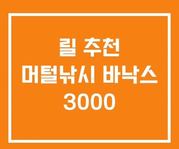 릴 추천 머털낚시 바낙스 3000