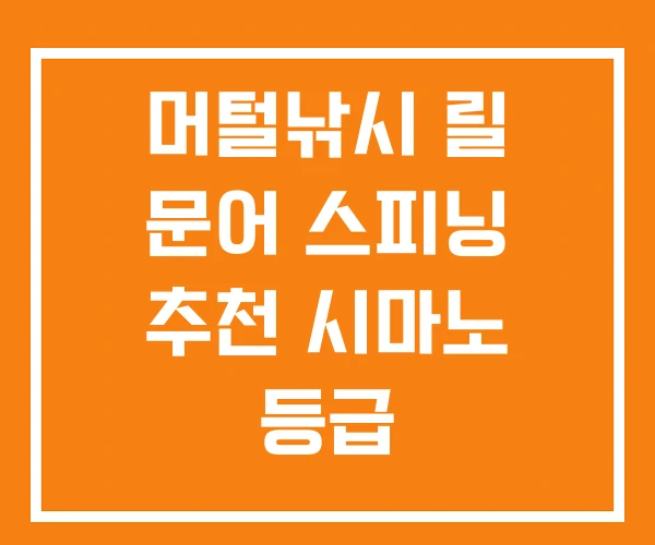 머털낚시 릴 문어 스피닝 추천 시마노 등급 머털낚시 릴 문어 스피닝 추천 시마노 등급