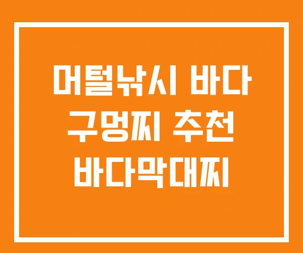 머털낚시 바다 구멍찌 추천 바다막대찌 머털낚시 바다 구멍찌 추천 바다막대찌