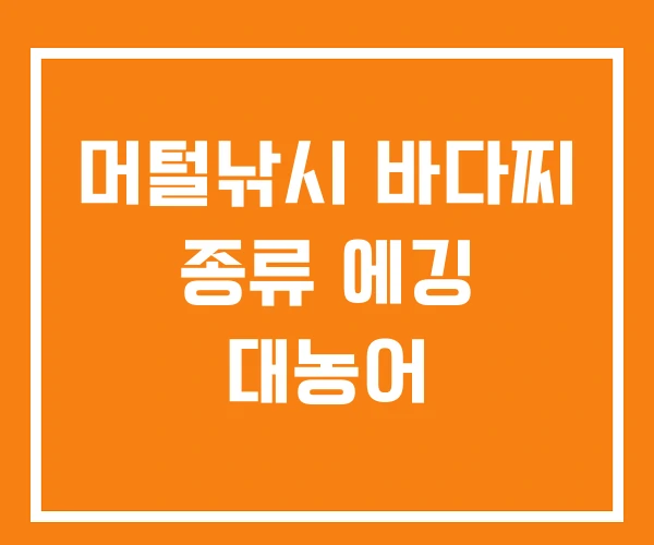 머털낚시 바다찌 종류 에깅 대농어 머털낚시 바다찌 종류 에깅 대농어