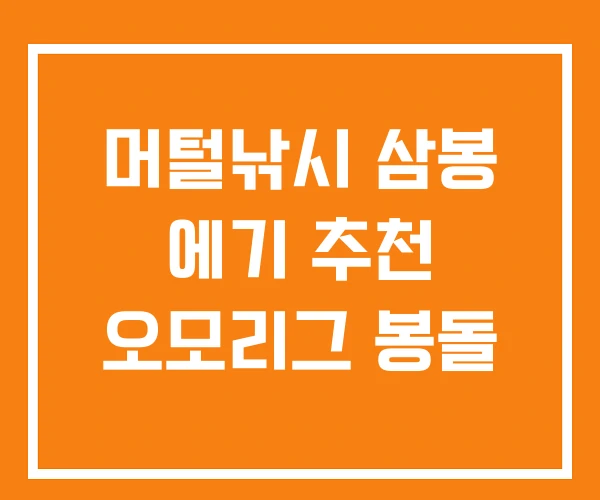 머털낚시 삼봉 에기 추천 오모리그 봉돌 머털낚시 삼봉 에기 추천 오모리그 봉돌