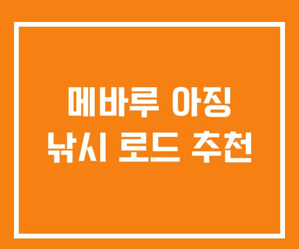 메바루 아징 낚시 로드 추천 메바루 아징 낚시 로드 추천