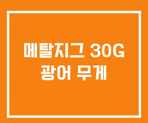 메탈지그 30G 광어 무게 메탈지그 30G 광어 무게