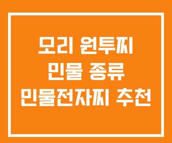 모리 원투찌 민물 종류 민물전자찌 추천 모리 원투찌 민물 종류 민물전자찌 추천