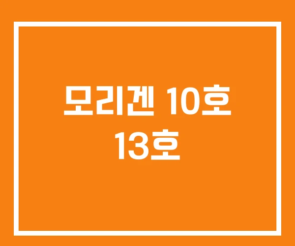 모리겐 10호 13호