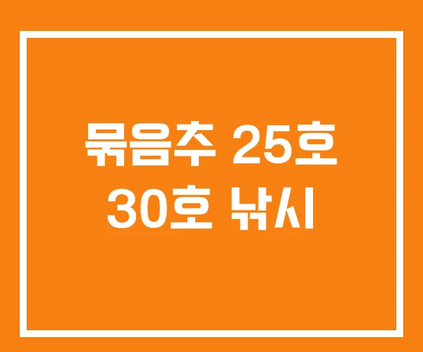 묶음추 25호 30호 낚시 묶음추 25호 30호 낚시