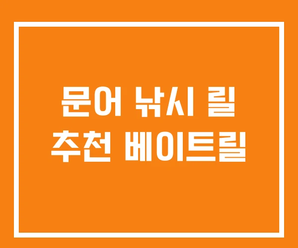 문어 낚시 릴 추천 베이트릴 문어 낚시 릴 추천 베이트릴
