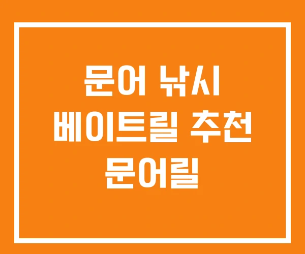 문어 낚시 베이트릴 추천 문어릴 문어 낚시 베이트릴 추천 문어릴