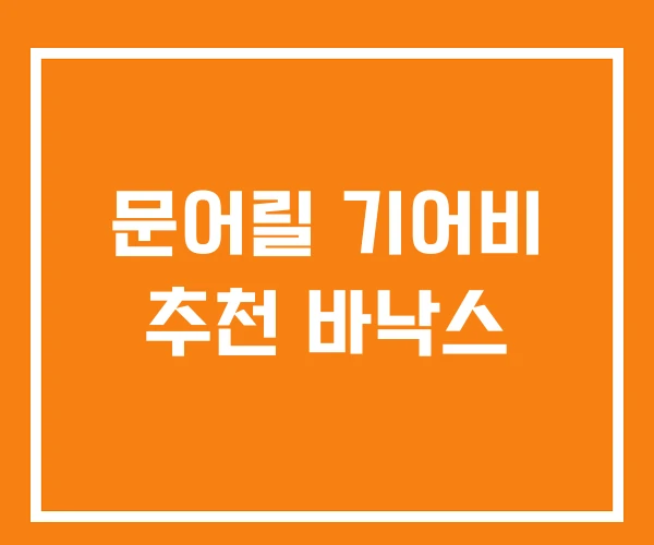 문어릴 기어비 추천 바낙스