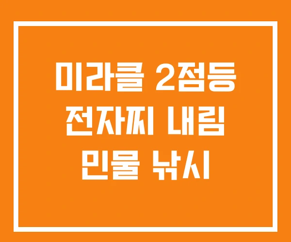 미라클 2점등 전자찌 내림 민물 낚시 미라클 2점등 전자찌 내림 민물 낚시