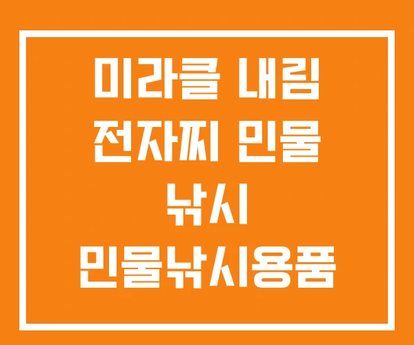 미라클 내림 전자찌 민물 낚시 민물낚시용품 미라클 내림 전자찌 민물 낚시 민물낚시용품