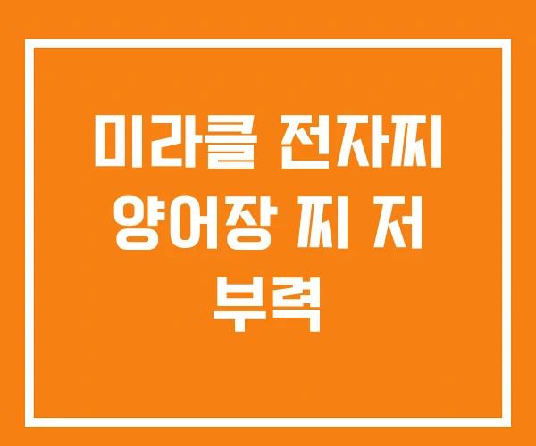 미라클 전자찌 양어장 찌 저 부력