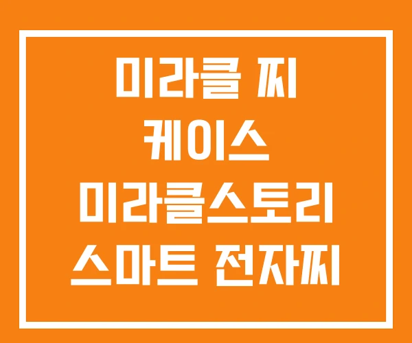 미라클 찌 케이스 미라클스토리 스마트 전자찌 미라클 찌 케이스 미라클스토리 스마트 전자찌