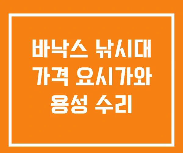 바낙스 낚시대 가격 요시가와 용성 수리