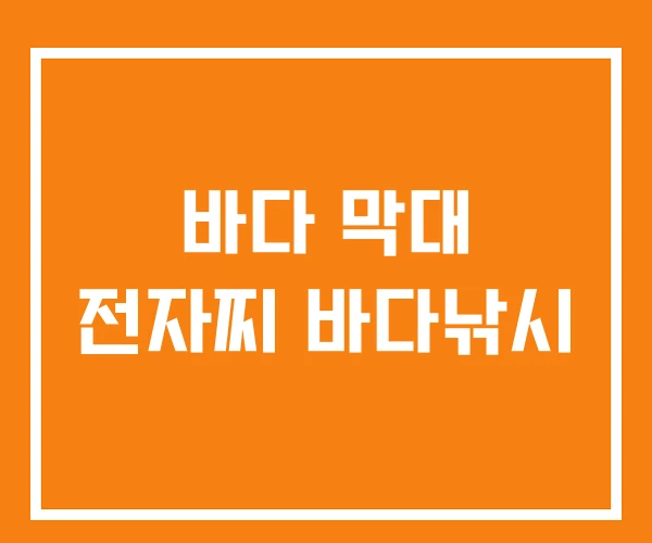 바다 막대 전자찌 바다낚시