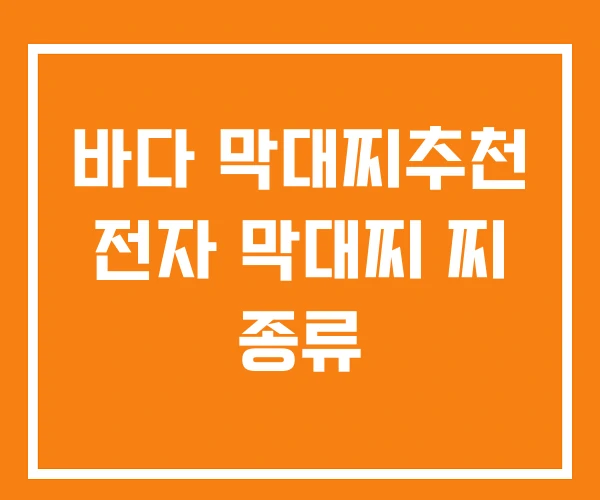 바다 막대찌추천 전자 막대찌 찌 종류 바다 막대찌추천 전자 막대찌 찌 종류