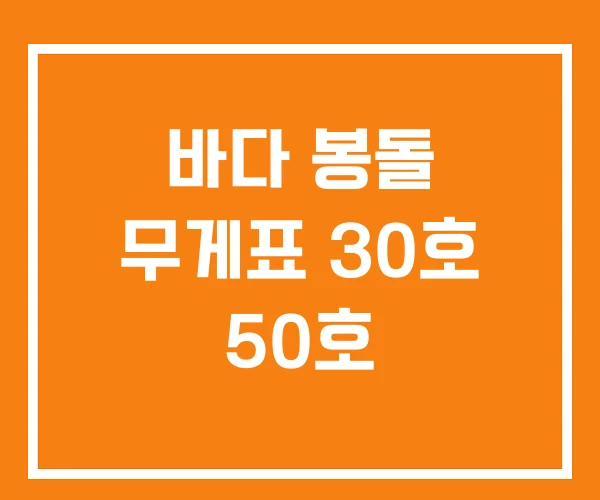 바다 봉돌 무게표 30호 50호