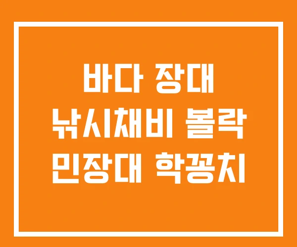 바다 장대 낚시채비 볼락 민장대 학꽁치 바다 장대 낚시채비 볼락 민장대 학꽁치