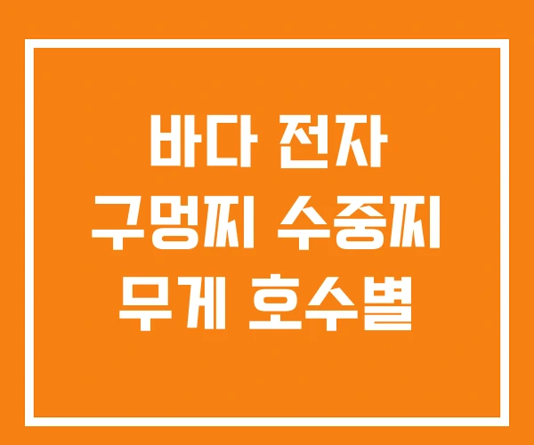 바다 전자 구멍찌 수중찌 무게 호수별 바다 전자 구멍찌 수중찌 무게 호수별