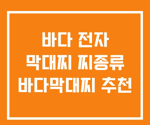 바다 전자 막대찌 찌종류 바다막대찌 추천 바다 전자 막대찌 찌종류 바다막대찌 추천