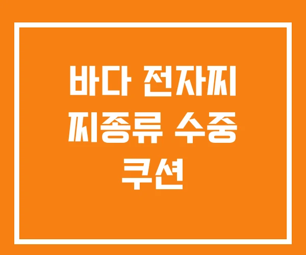 바다 전자찌 찌종류 수중 쿠션 바다 전자찌 찌종류 수중 쿠션