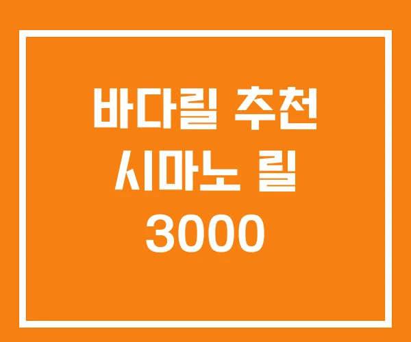 바다릴 추천 시마노 릴 3000 바다릴 추천 시마노 릴 3000
