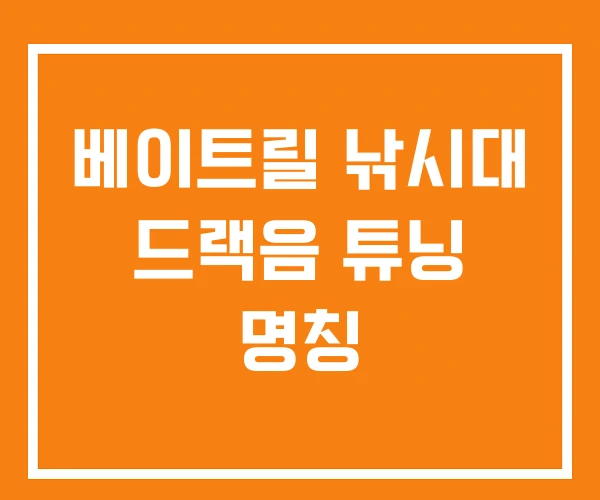 베이트릴 낚시대 드랙음 튜닝 명칭 베이트릴 낚시대 드랙음 튜닝 명칭