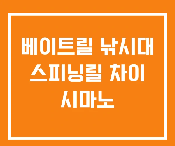 베이트릴 낚시대 스피닝릴 차이 시마노 베이트릴 낚시대 스피닝릴 차이 시마노