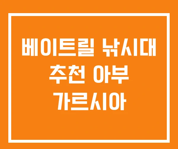 베이트릴 낚시대 추천 아부 가르시아