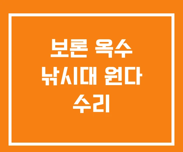 보론 옥수 낚시대 원다 수리 보론 옥수 낚시대 원다 수리
