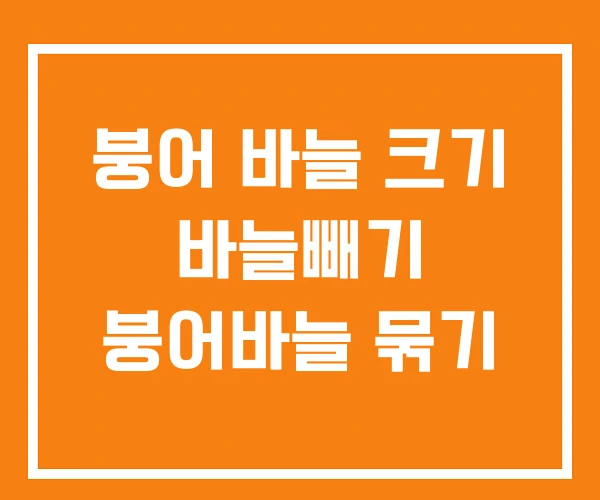 붕어 바늘 크기 바늘빼기 붕어바늘 묶기 붕어 바늘 크기 바늘빼기 붕어바늘 묶기