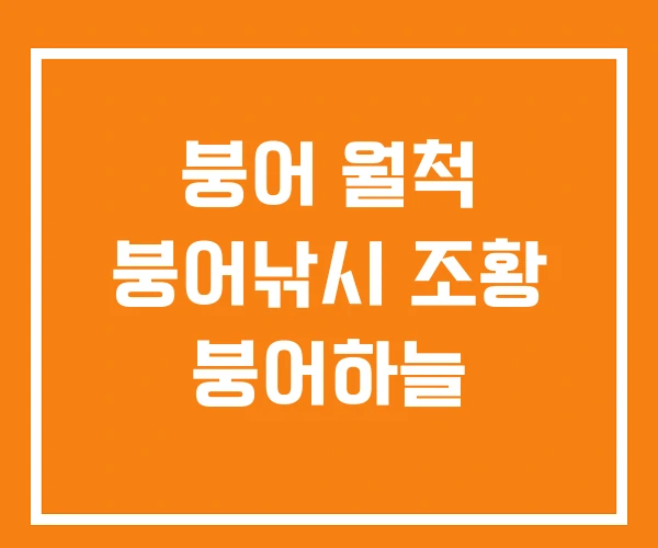 붕어 월척 붕어낚시 조황 붕어하늘 붕어 월척 붕어낚시 조황 붕어하늘