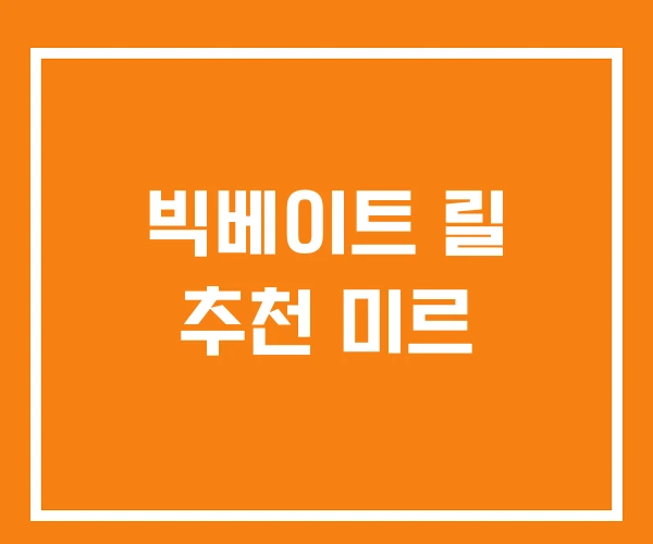 빅베이트 릴 추천 미르