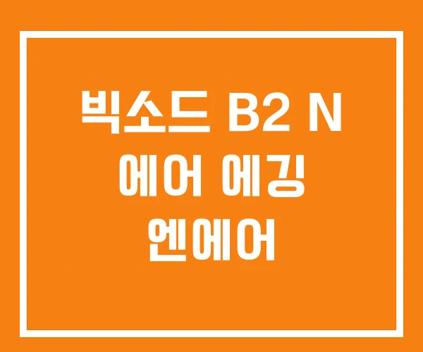빅소드 B2 N 에어 에깅 엔에어 빅소드 B2 N 에어 에깅 엔에어
