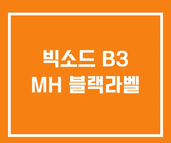 빅소드 B3 MH 블랙라벨 빅소드 B3 MH 블랙라벨