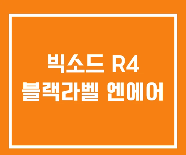 빅소드 R4 블랙라벨 엔에어 빅소드 R4 블랙라벨 엔에어