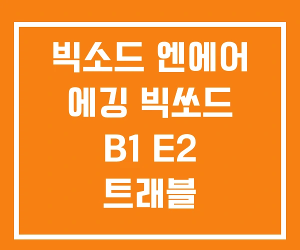 빅소드 엔에어 에깅 빅쏘드 B1 E2 트래블