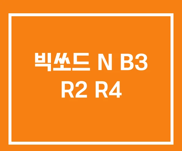 빅쏘드 N B3 R2 R4