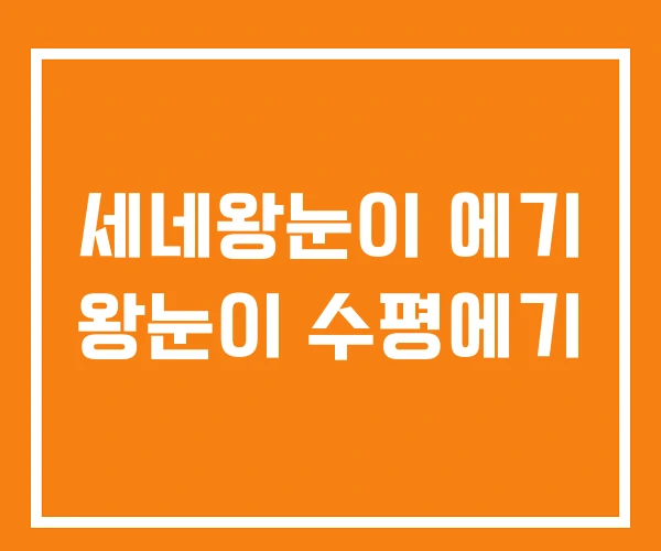 세네왕눈이 에기 왕눈이 수평에기 세네왕눈이 에기 왕눈이 수평에기